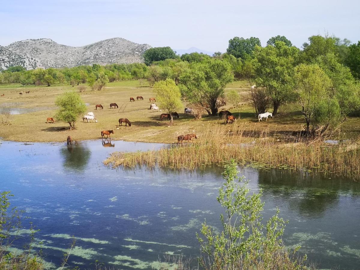 Wild Beauty House Skadar Lake Cetinje Buitenkant foto